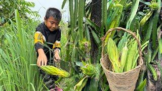 Dragon flower Lady finger Long beans cooking with country style - Chef Seyhak