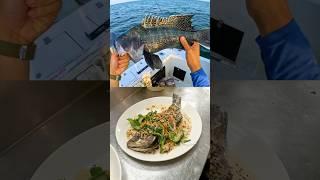 Where does Restaurant Seafood Come From? #shorts #fishing