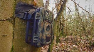 Trail-cam Retrieval 28th October 2018