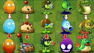 All Plants Evolution NOOB - PRO - HACKER - Who Will Win? - Pvz 2 Discovery
