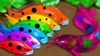 Top 5 Episodes Crocodiles Hunt Colorful Koi Catfish Primitive Cooking Eels - Stop Motion ASMR CoCo