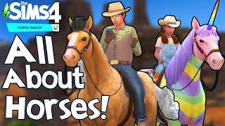 The Sims 4 Horse Ranch ALL ABOUT HORSES GAMEPLAY