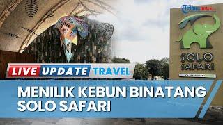 Melihat Beragam Satwa di Solo Safari Rebranding dari Taman Satwa Taru Jurug