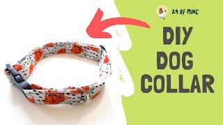 DIY Dog Collar How to Make Your Own Dog Collar