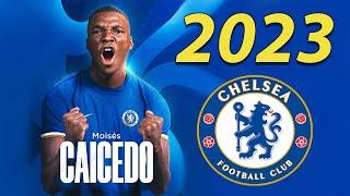 Moisés Caicedo 2023 ● Welcome to Chelsea 