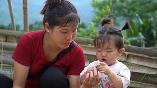 Harvesting passion fruit for sale weaving trellis for luffa daily life