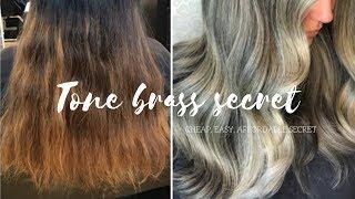 How To Tone Hair CHEAP EASY SECRET