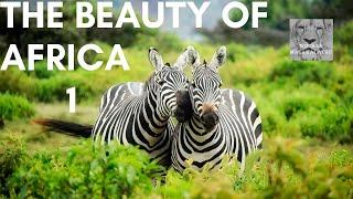 The Beauty of Africa #1