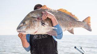 Delaware Bay Black Drum  Cape May NJ  S20 E02