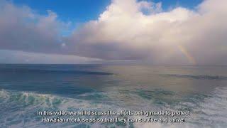 Episode 3  Kai Hohonu Deeper Waters