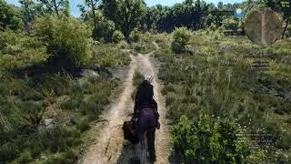 The Witcher 3 Extreme Graphics Option