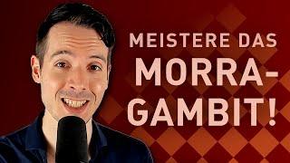 GM zerstört FM mit Morra-Gambit