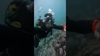 Buceando en Galápagos San Cristobal ️