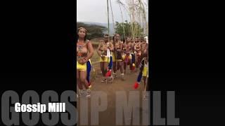 SOUTH AFRICA  GIRLS DANCE  HERITAGE  ZULU DANCE