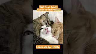 AWS Snow Family explained with memes. Because why not. Revision for your exams made fun.