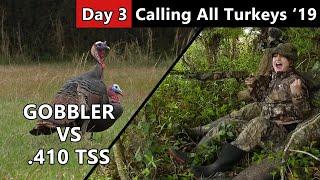 Charging Gobbler Gets A Load of .410 TSS - Public Land Turkey Hunting - Calling All Turkeys