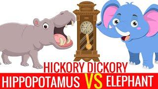 Hickory Dickory Dock Hippo vs Elephant Song - THE BOOMERS Preschool Songs for Circle Time