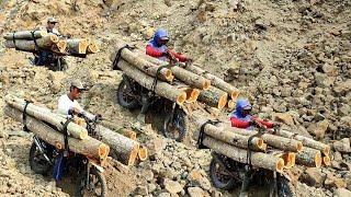 A genius but high-risk way to carry lots of wood using a motorbike to earn a living