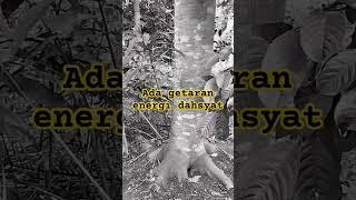 benturan energi gaib#shortvideo #livepenampakan #trending #hantu #liveexplorehantu