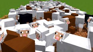 One Of These Sheep Is A Fake... Minecraft Morph Mob Hunt
