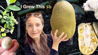 I Done It. I Grew The World’s Largest Fruit In My Backyard  - Jackfruit