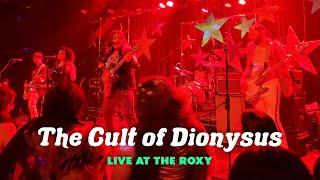 The Cult of Dionysus  The Orion Experience LIVE at the Roxy