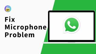 How to Fix Microphone Problems in WhatsApp on PC