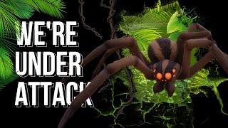 Grounded FIRST Spider Reaction SCARY