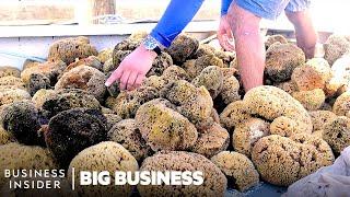 How This Florida Town Became The Sea Sponge Capital Of The World  Big Business  Business Insider