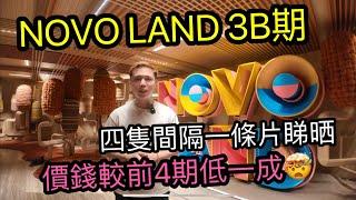 平過之前一成？一條片睇晒四種間隔NOVO LAND 3B期 ￼呢隻兩房竟然？？丨阿Jack睇樓團 屯門樓 新鴻基 ￼￼￼￼￼￼