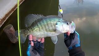 2 HOURS Of SLAB CRAPPIE Fishing From The BANK  BANK CRAPPIE FISHING‼️