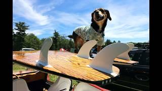 Pups & Pints A Doggone Good Car Show