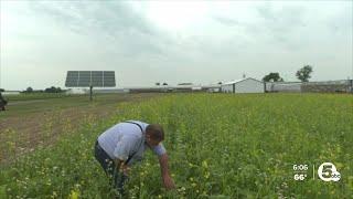 Erie County farm receives $2.5 million for solar projects