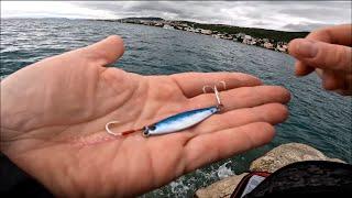 Squid on Major Craft Jigpara 15gr. Adriatic Sea Selce