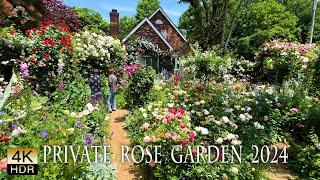 【Private Residence】Master gardeners rose gardens 2024. 有名庭師宅のバラ園2024 #4khdr