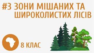 Зони мішаних та широколистих лісів #3