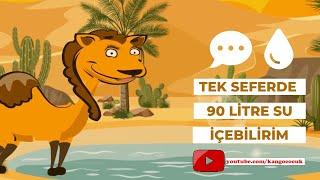 Bebek Şarkıları - Deve Şarkısı   Kango Çocuk