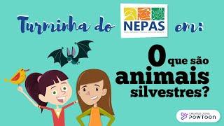 Turminha do NEPAS em o que são animais silvestres?