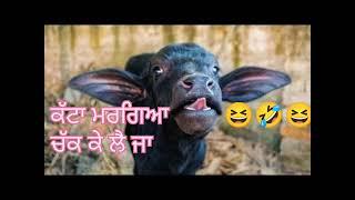 katta margea chak la ja funny video