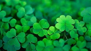 Happy Irish Music – Saint Patricks Day  Celtic Cheerful ️