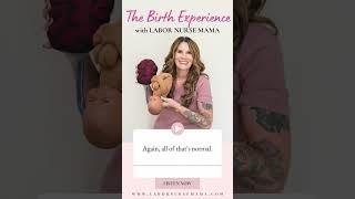 Reigniting the Spark Postpartum Intimacy with Expert Sex Coach Kaci Mial #ytshorts #pregnancy