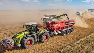  Žatva Harvest 2024  5x Claas Lexion 3x6800 6700 750  Claas Xerion 4000