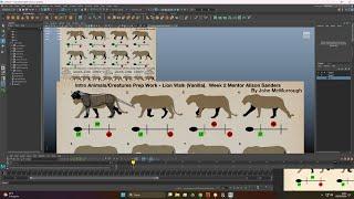 Tiger Walk cycle  Autodesk Maya 2025