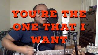 Youre the One That I Want - Grease Cover