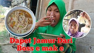 DAPET JAMUR DARI BOSS E MAK E LANGSUNG SAJA DI OLAH NGGO MENU MAKAN SORE