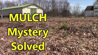 WHERE Does Your GARDEN MULCH Disappears To Every Year