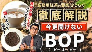 【業務用紅茶の葉楽】徹底解説！今更聞けないBOPとは？【プロが語る解説シリーズ】