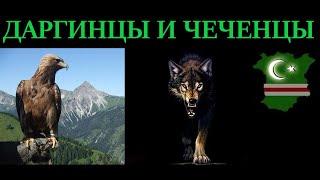 ДАРГИНЦЫ И ЧЕЧЕНЦЫ. ИСТОРИЯ. ДАРГАН ДАРГАНТИ НОХЧИЙ. ДАГЕСТАН И ЧЕЧНЯ.