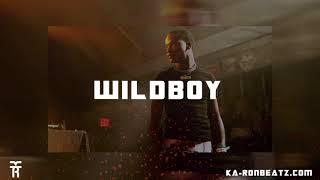 FREE Calboy x Polo G Type Beat 2019 Wildboy Prod. By KaRon