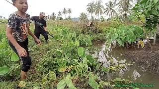 #EP959 Empat Hari Cuci Parit Tepi Rumah